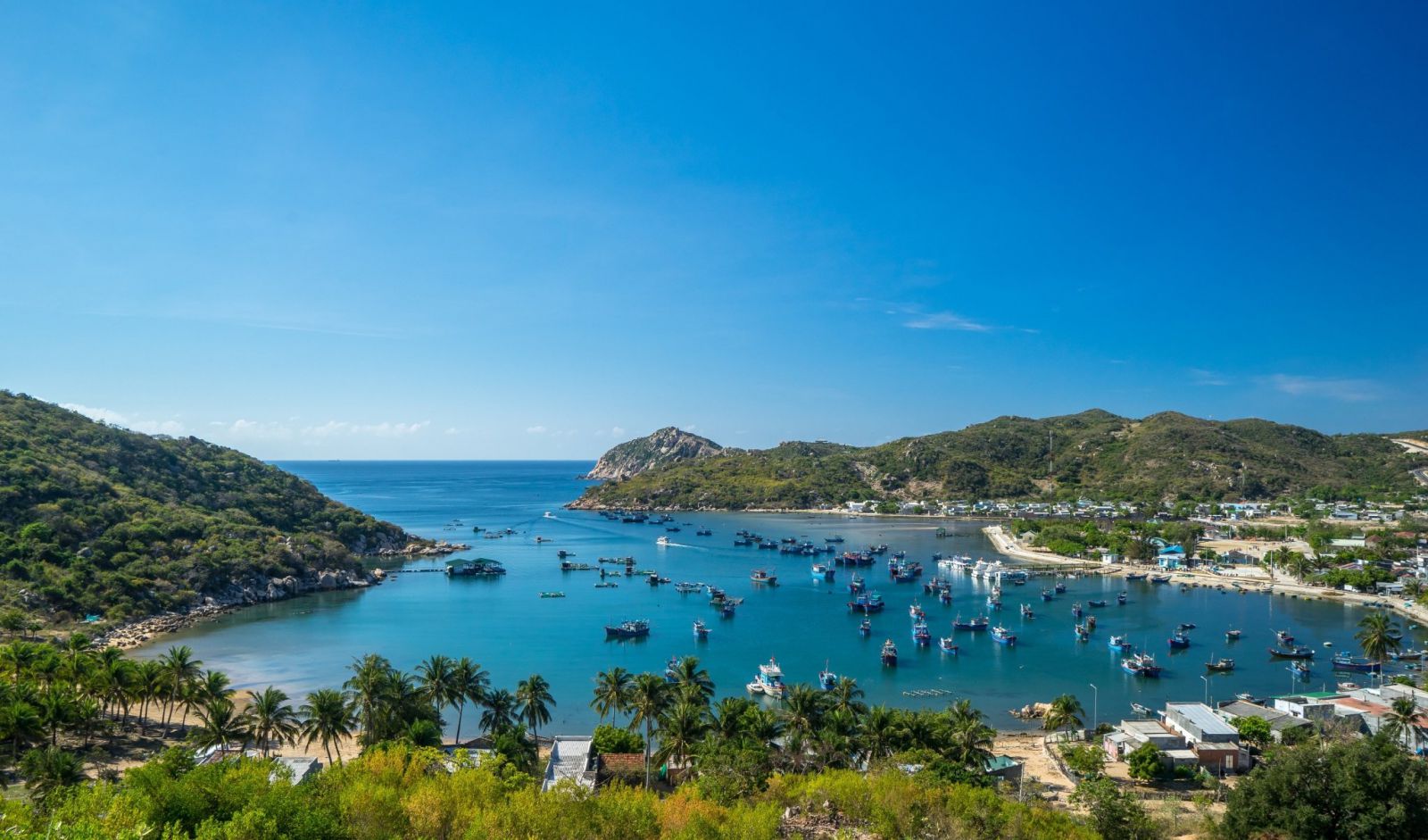 bds-nam-khanh-hoa