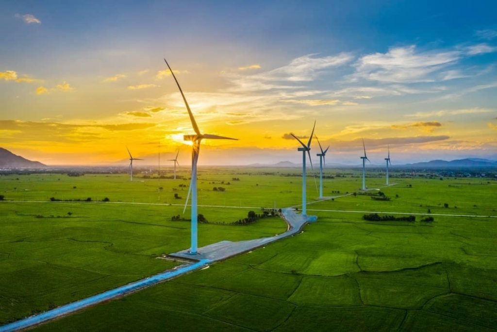 Cánh đồng điện gió Đầm Nại khung cảnh tuyệt đẹp giữa thiên nhiên